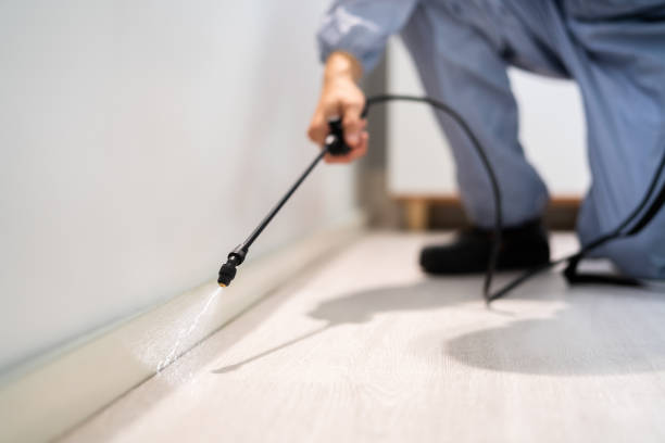 Licensed Mosquito Control service in Estero, FL - Nex Pest Control