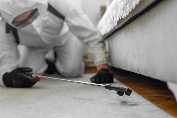 Professional Mosquito Control technician working in Estero, FL