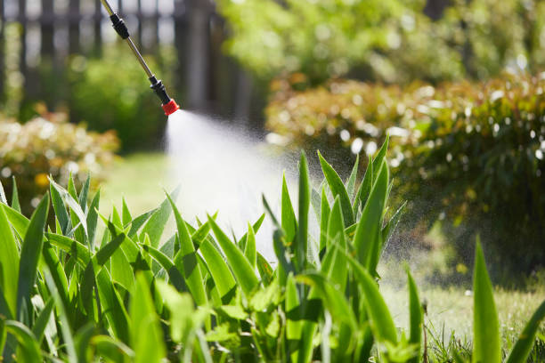 24/7 Emergency Mosquito Control experts in Estero, FL